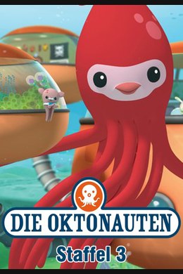 Die unechte Karettschildkröte