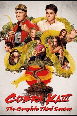 Cobra Kai – S03E03