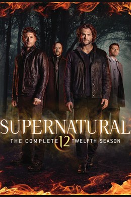 Der Fall Tasha Banes